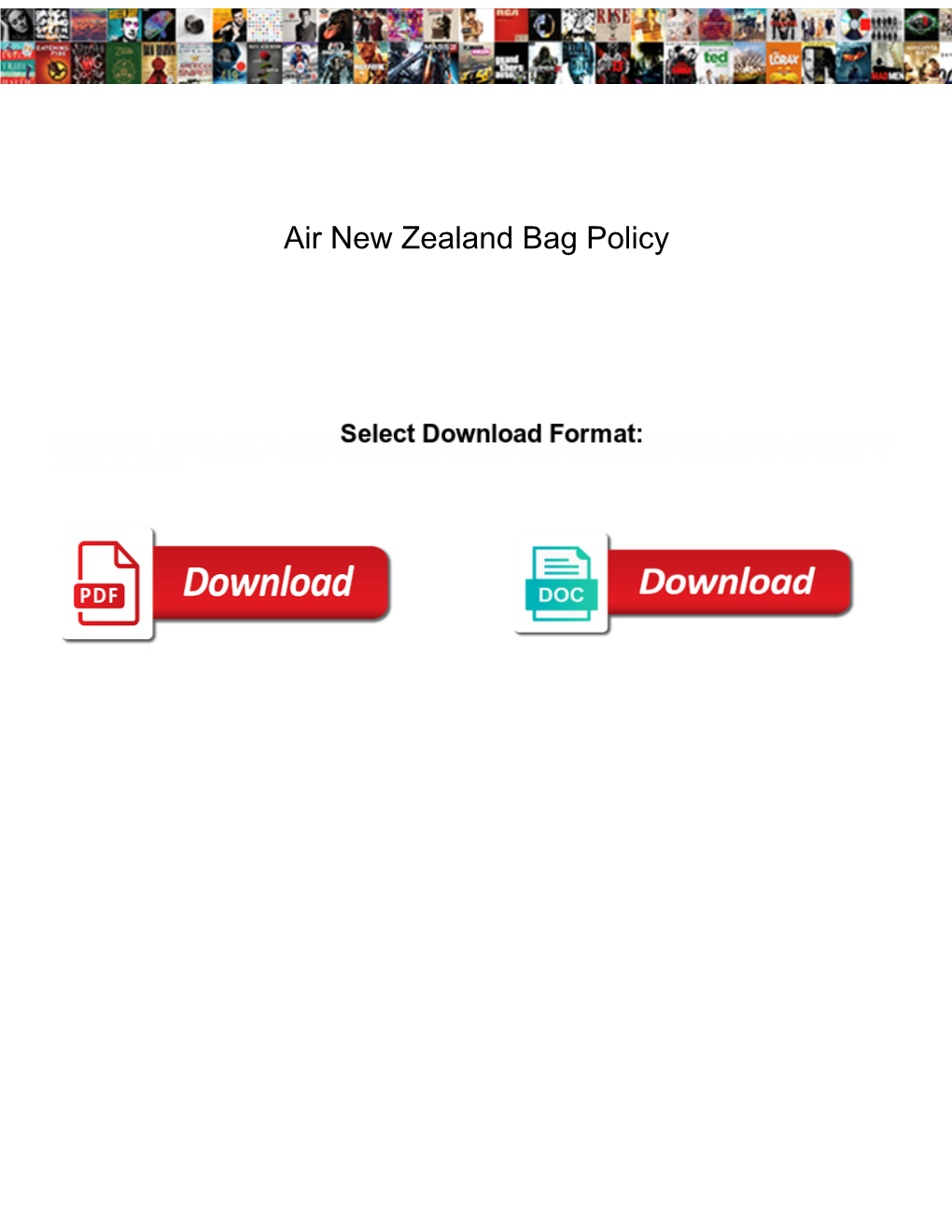 Air New Zealand Bag Policy
