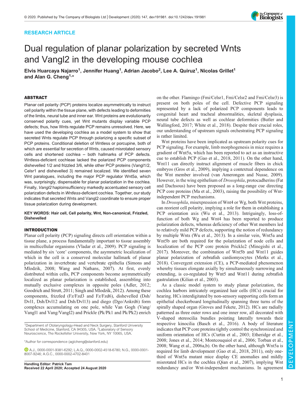 Dual Regulation of Planar Polarization by Secreted Wnts and Vangl2 in the Developing Mouse Cochlea Elvis Huarcaya Najarro1, Jennifer Huang1, Adrian Jacobo2, Lee A