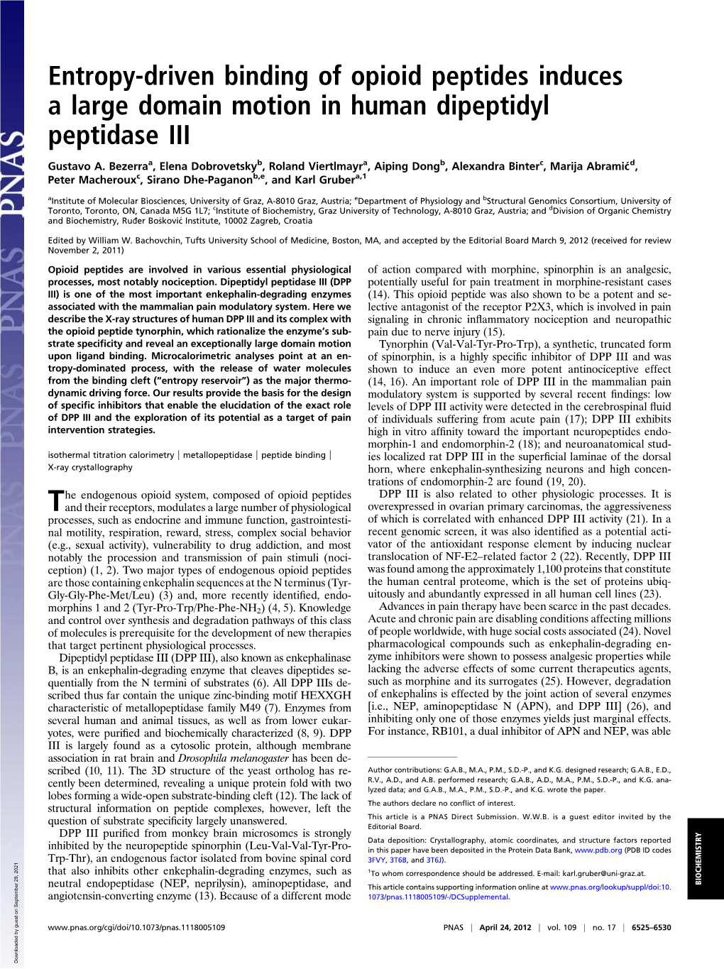 Entropy-Driven Binding of Opioid Peptides Induces a Large Domain Motion in Human Dipeptidyl Peptidase III