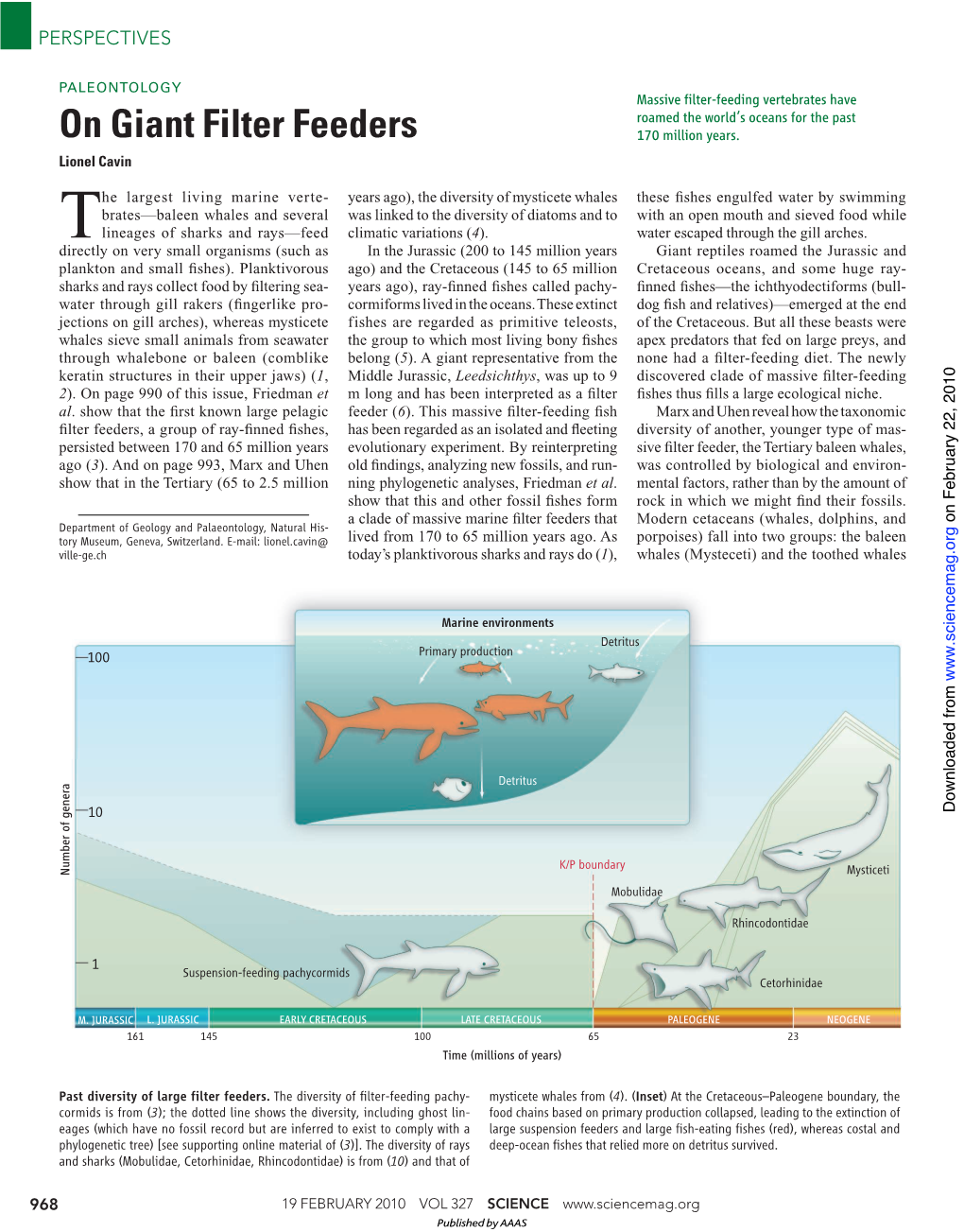 On Giant Filter Feeders 170 Million Years