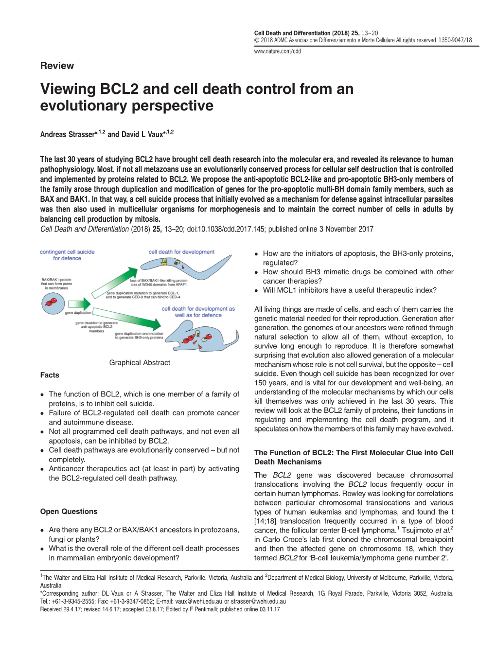 Viewing BCL2 and Cell Death Control from an Evolutionary Perspective