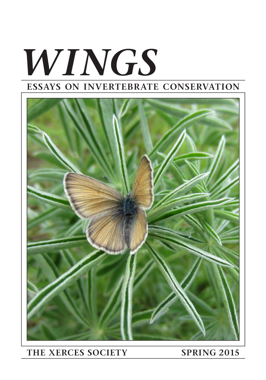 Essays on Invertebrate Conservation