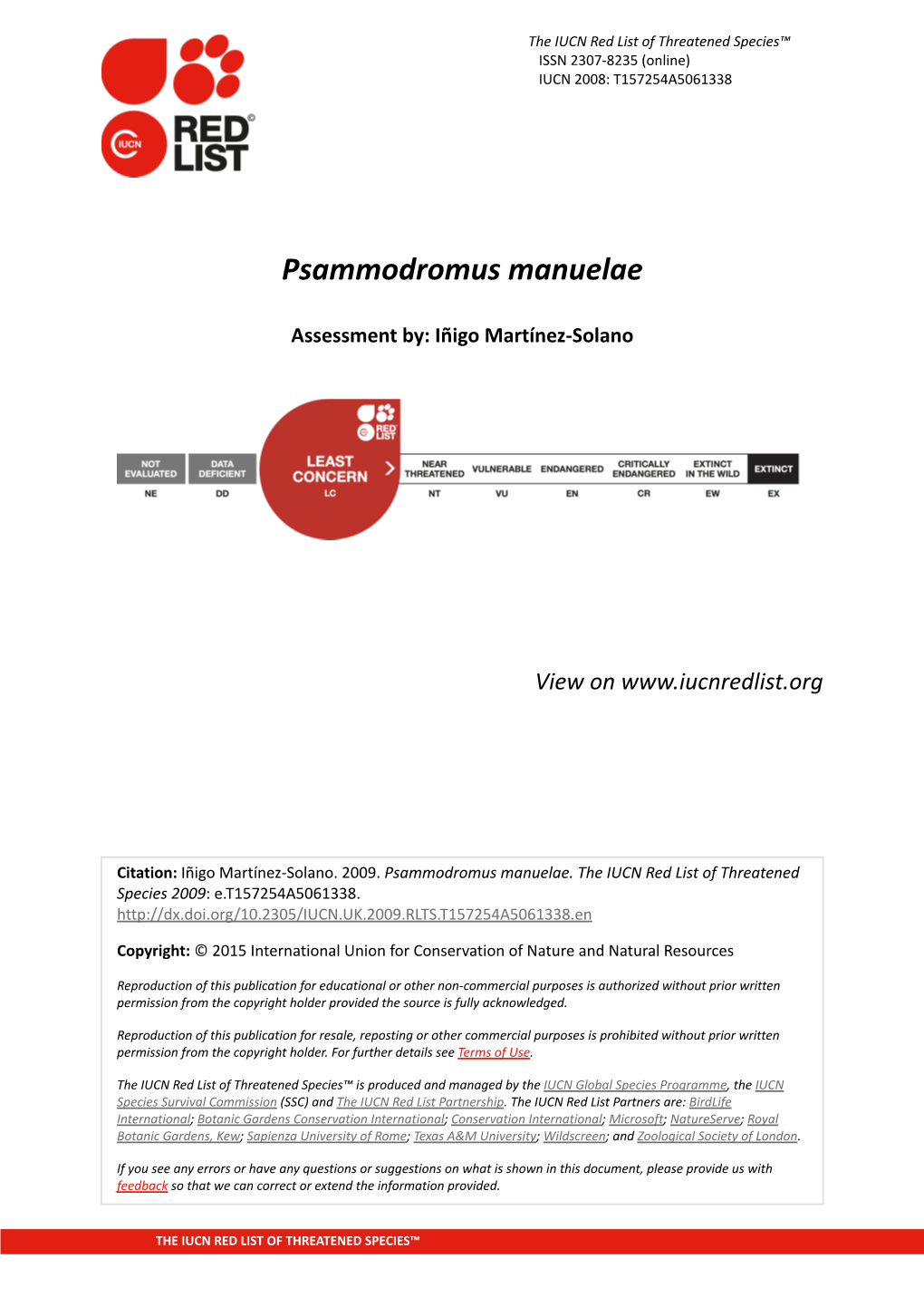 Psammodromus Manuelae