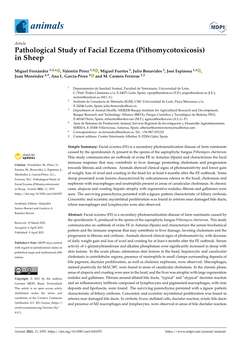 Pathological Study of Facial Eczema (Pithomycotoxicosis) in Sheep