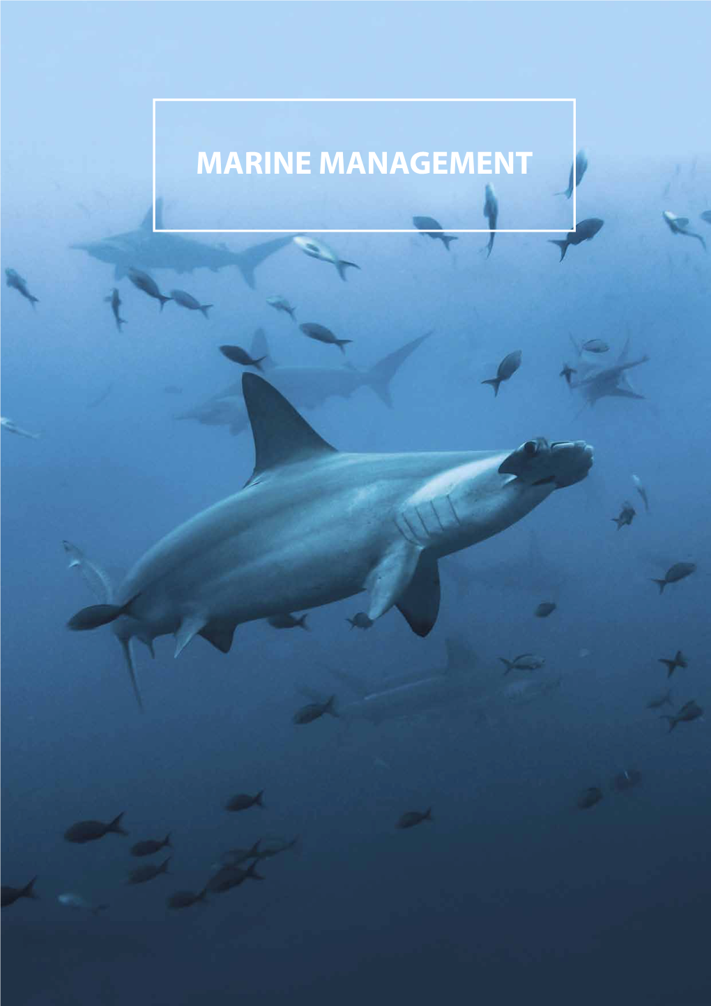 Marine Management