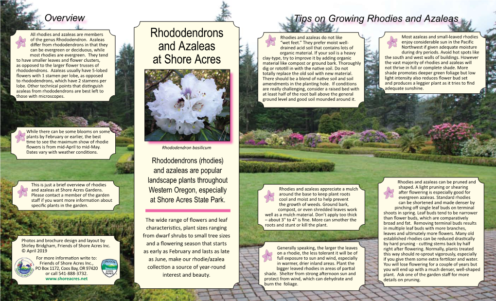 Rhododendrons and Azaleas at Shore Acres