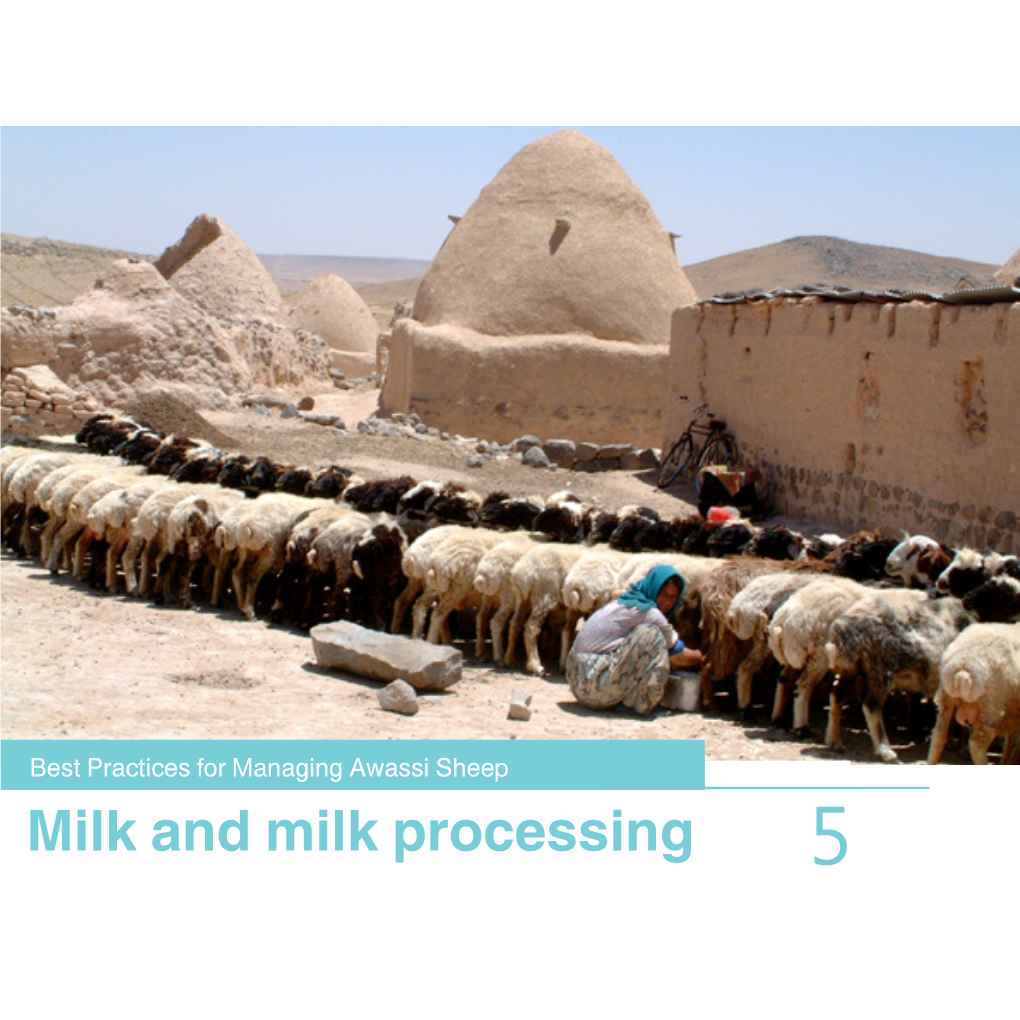 Milk and Milk Processing 5 Best Practices for Managing Awassi Sheep 5-Milking and Milk Processing