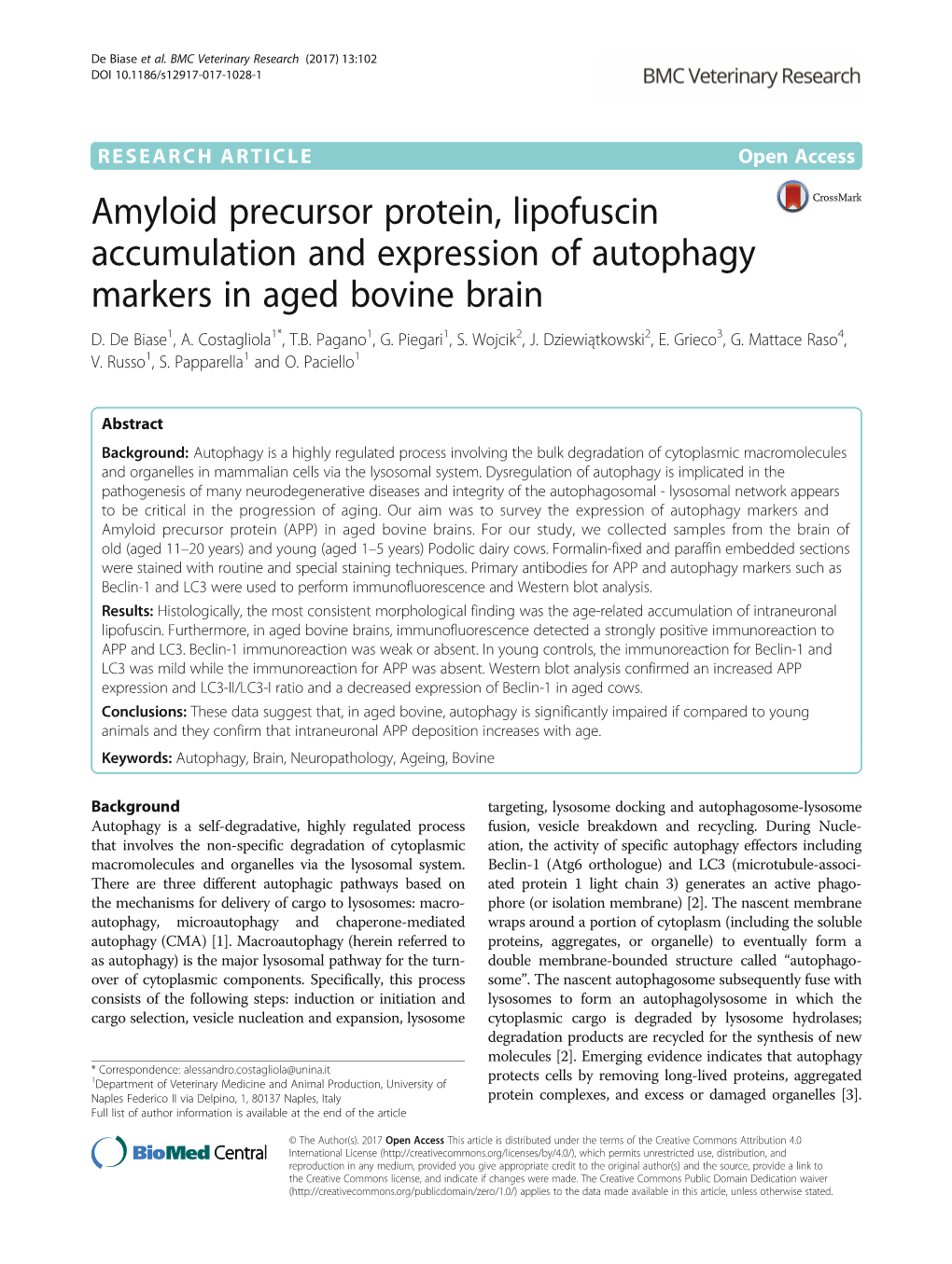 Amyloid Precursor Protein, Lipofuscin Accumulation and Expression of Autophagy Markers in Aged Bovine Brain D