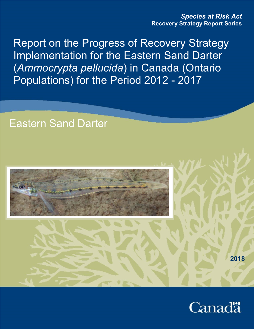 Eastern Sand Darter (Ammocrypta Pellucida) in Canada (Ontario Populations) for the Period 2012 - 2017