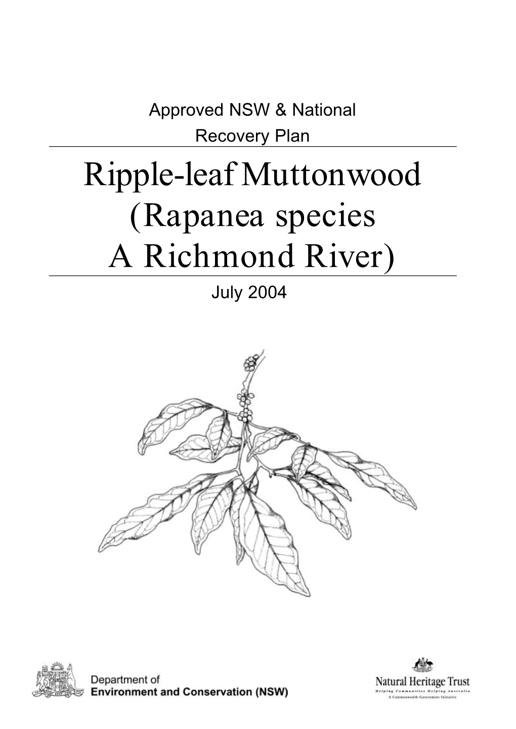 Ripple-Leaf Muttonwood (Rapanea Species a Richmond River) July 2004 © NSW Department of Environment and Conservation, 2004