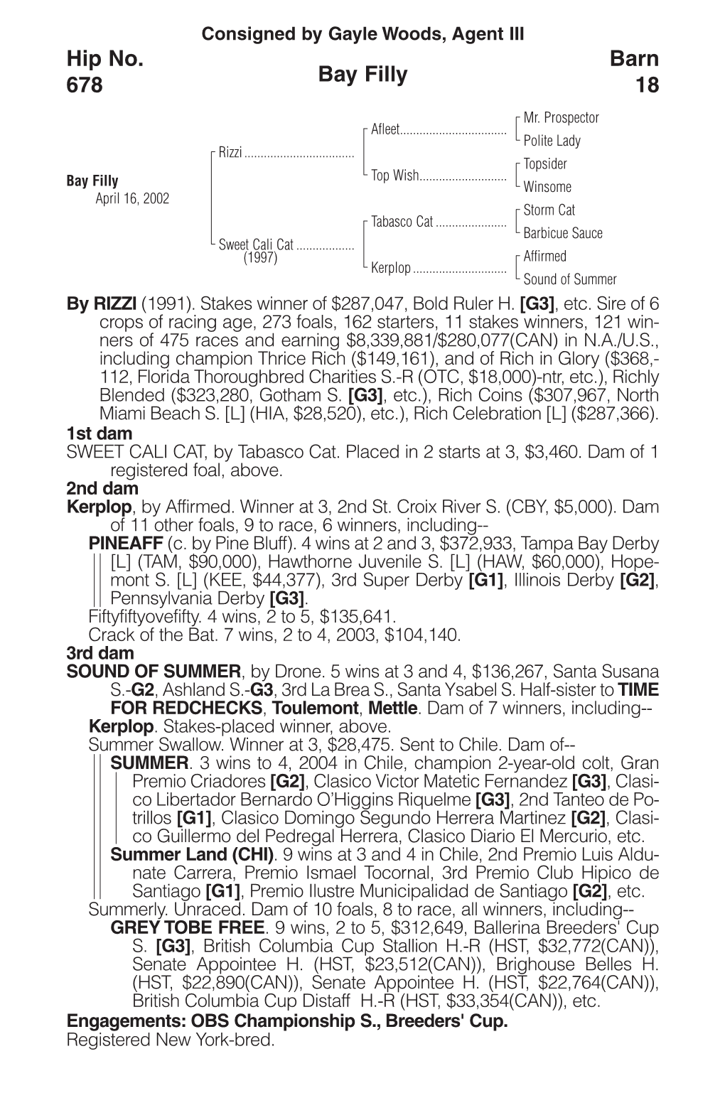 Bay Filly Barn 18 Hip No