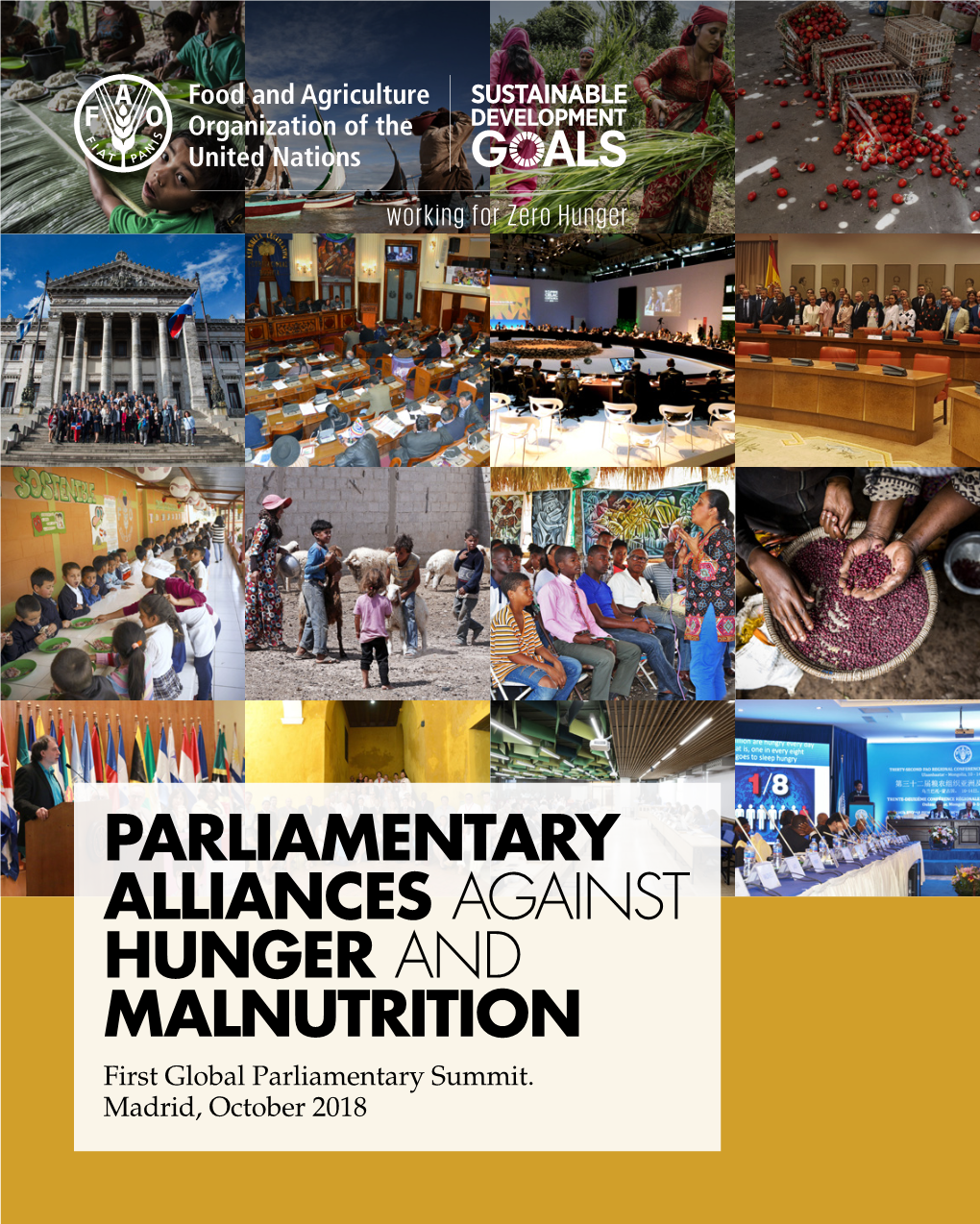 PARLIAMENTARY ALLIANCES AGAINST HUNGER and MALNUTRITION First Global Parliamentary Summit