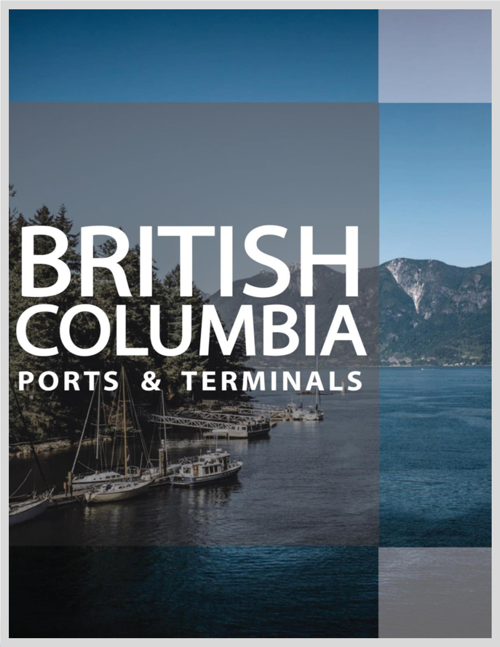 Ports & Terminals Handbook 2020