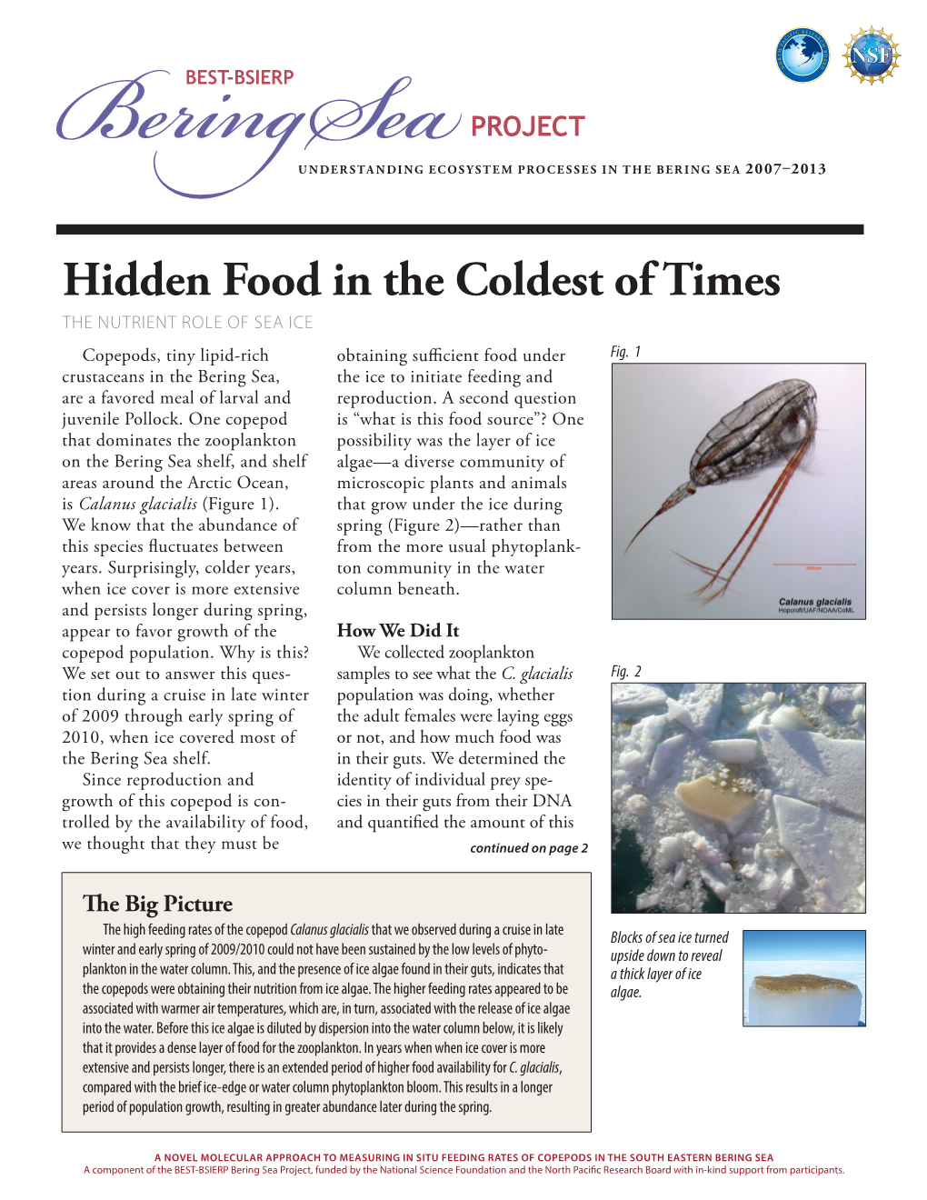 Hidden Food in the Coldest of Times the NUTRIENT ROLE of SEA ICE Copepods, Tiny Lipid-Rich Obtaining Sufficient Food Under Fig