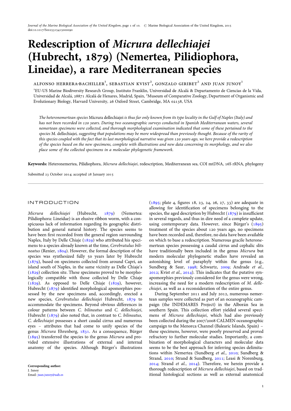 Redescription of Micrura Dellechiajei (Hubrecht, 1879) (Nemertea