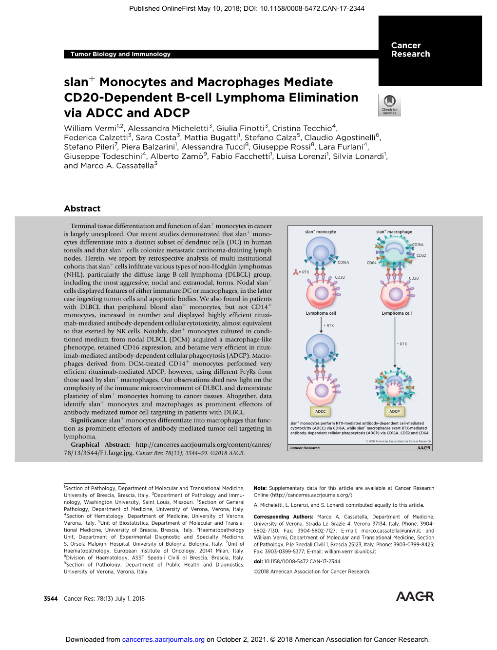 Slan Monocytes and Macrophages Mediate CD20-Dependent B-Cell