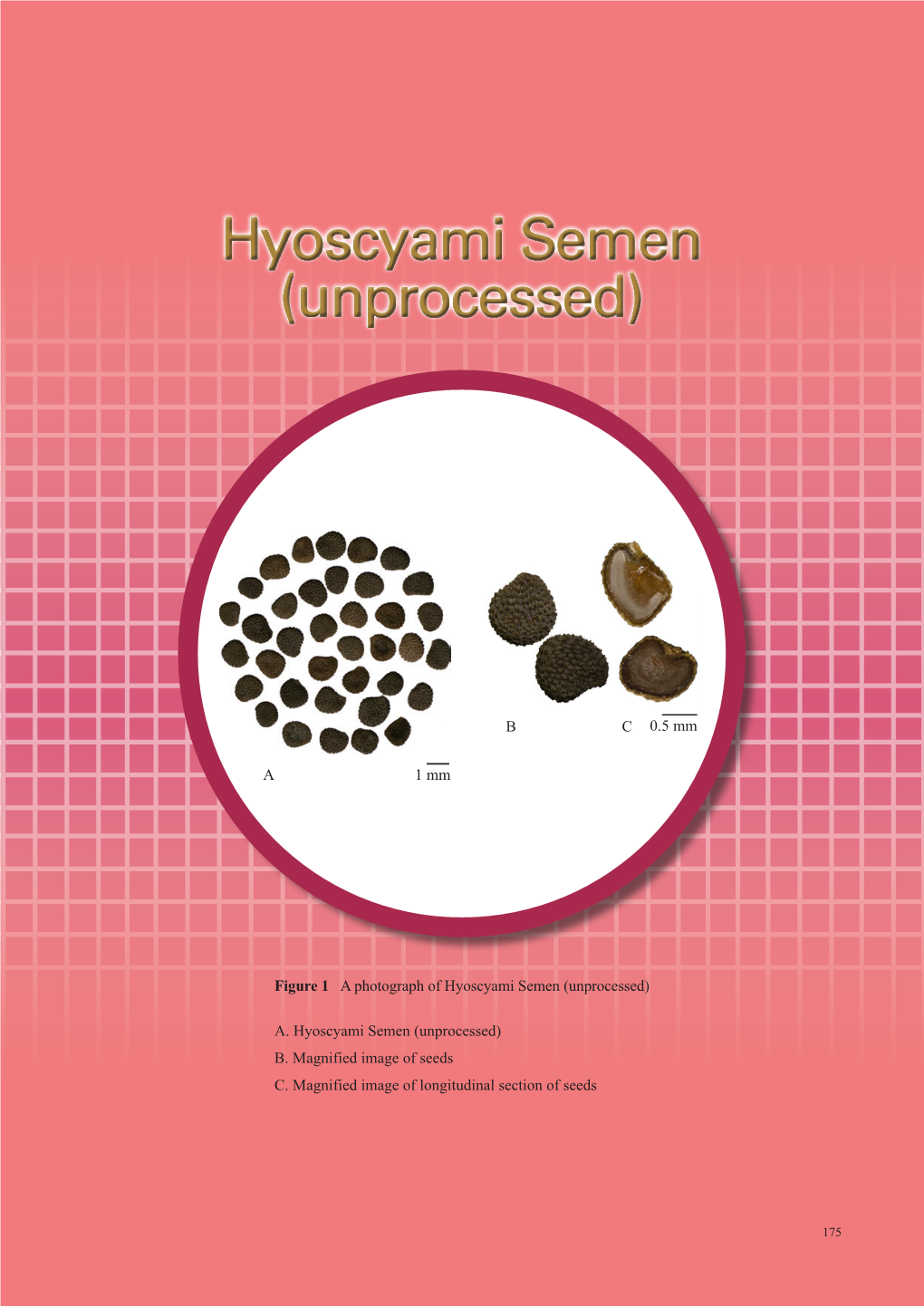 Hyoscyami Semen (Unprocessed)(Unprocessed)