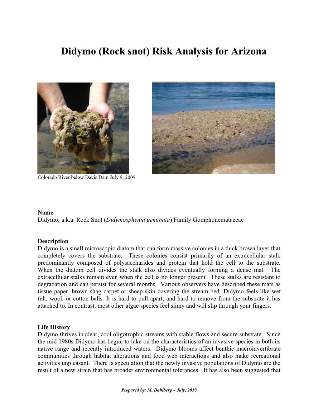 Didymo (Rock Snot) Risk Analysis for Arizona