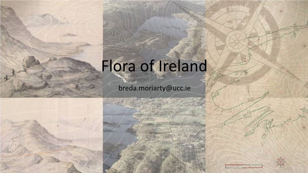Flora of Ireland