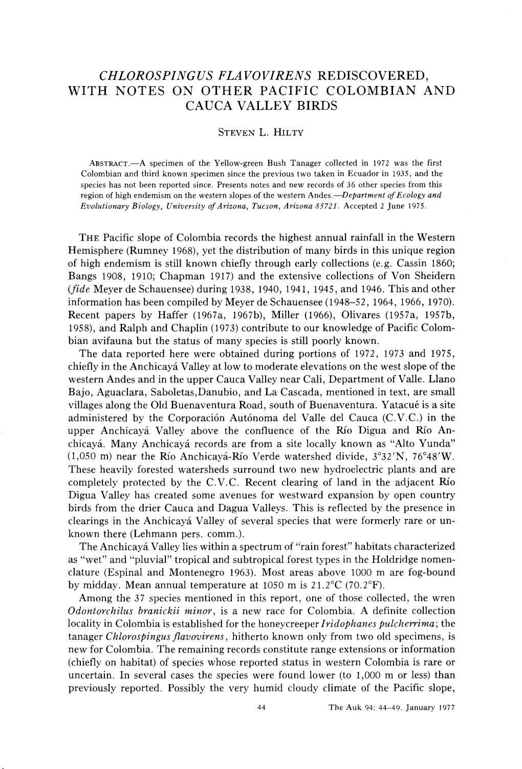 Chlorospingus Flavovirens Rediscovered, with Notes on Other Pacific Colombian and Cauca Valley Birds