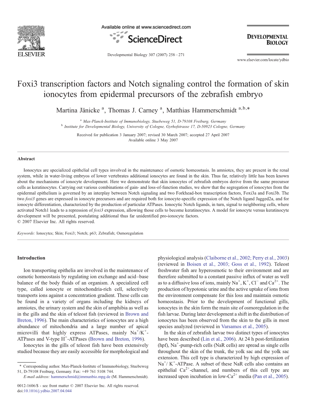 Foxi3 Transcription Factors and Notch Signaling Control the Formation Of