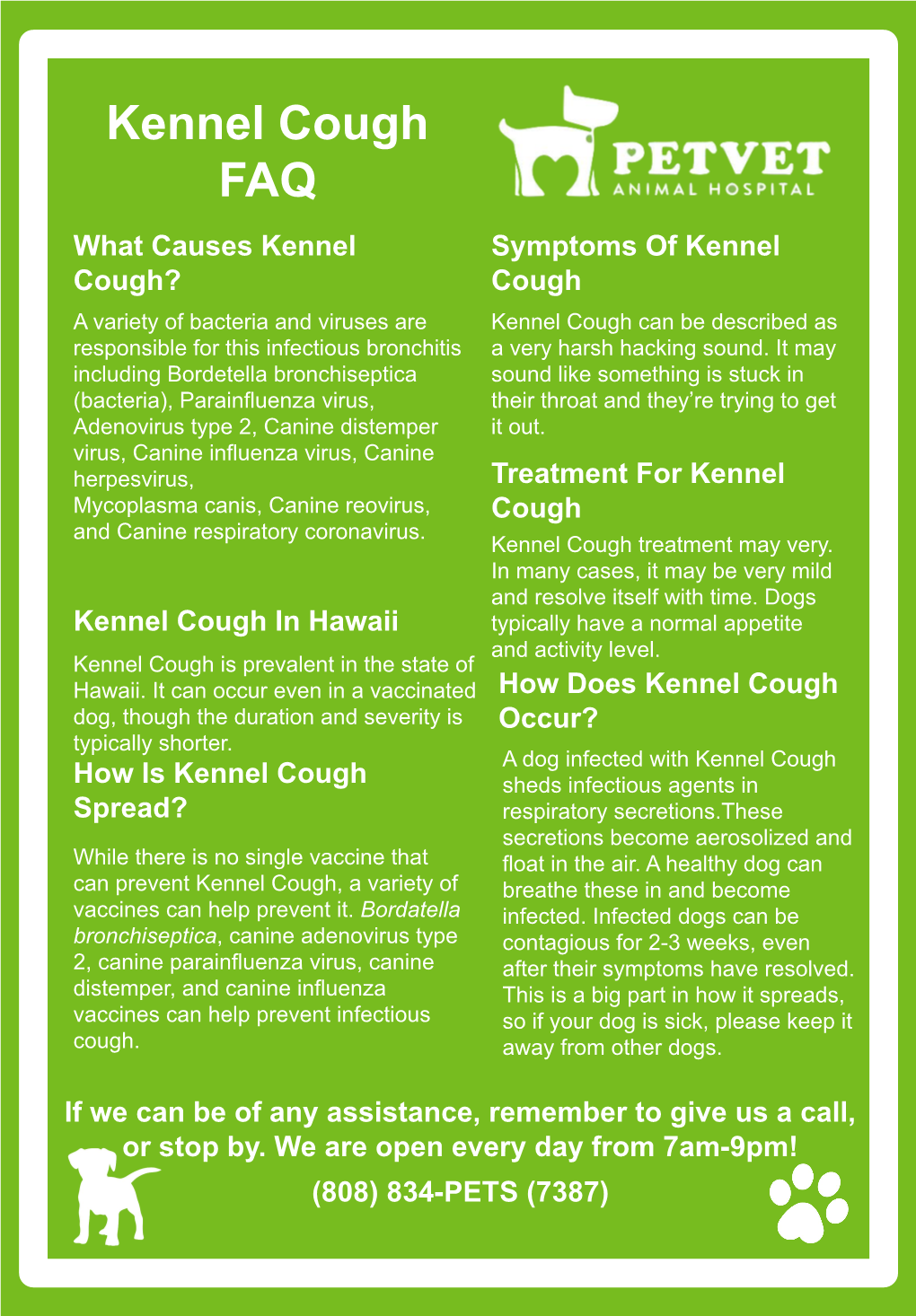 Kennel Cough