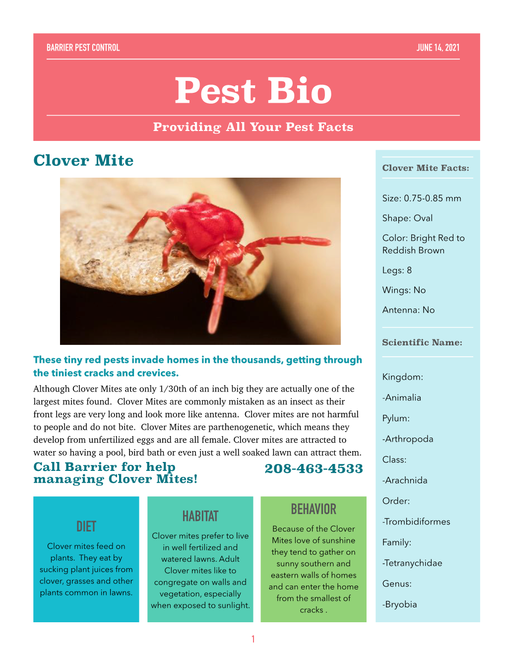 Clover Mite Clover Mite Facts