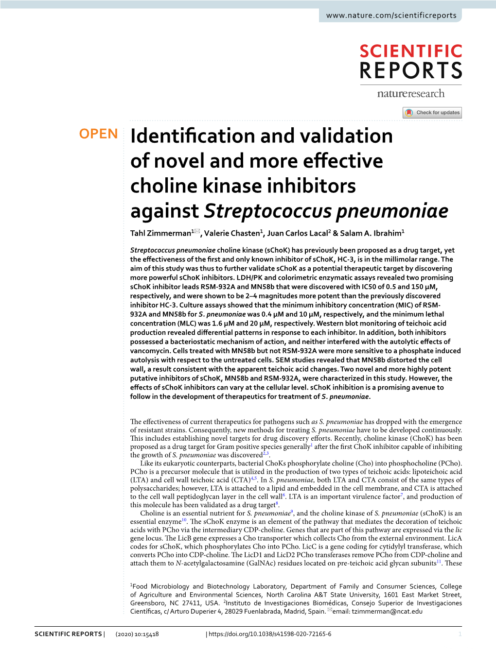 Identification and Validation of Novel and More Effective Choline Kinase