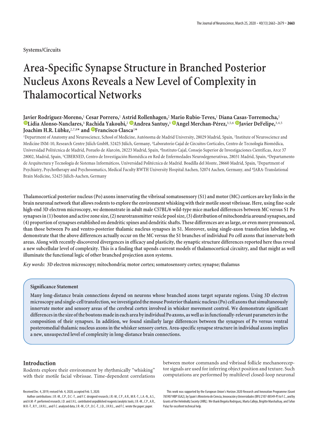 Area-Specific Synapse Structure in Branched Posterior Nucleus Axons Reveals a New Level of Complexity in Thalamocortical Networks