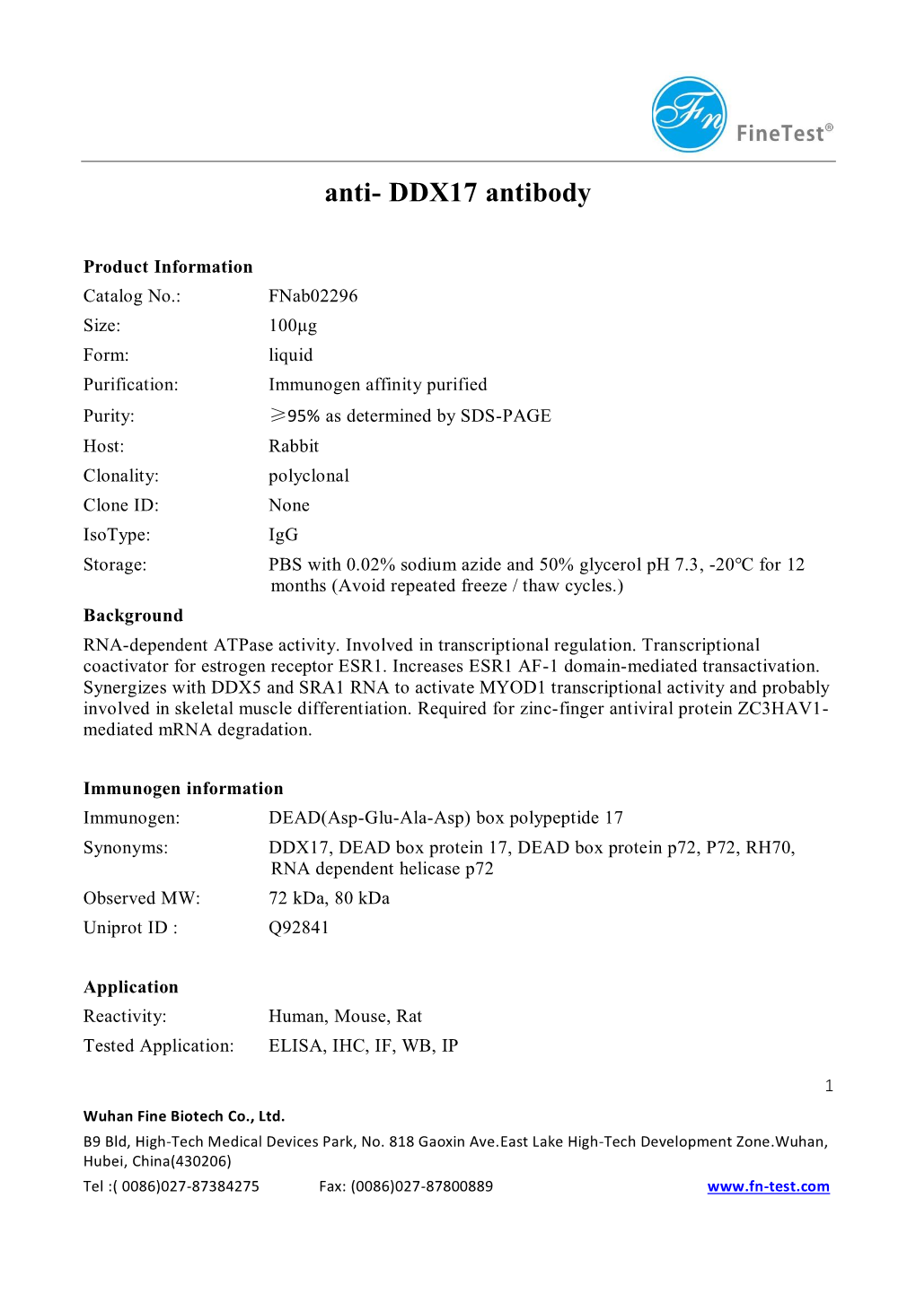 Anti- DDX17 Antibody