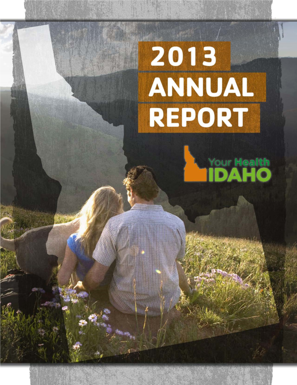 2013 Annual Report