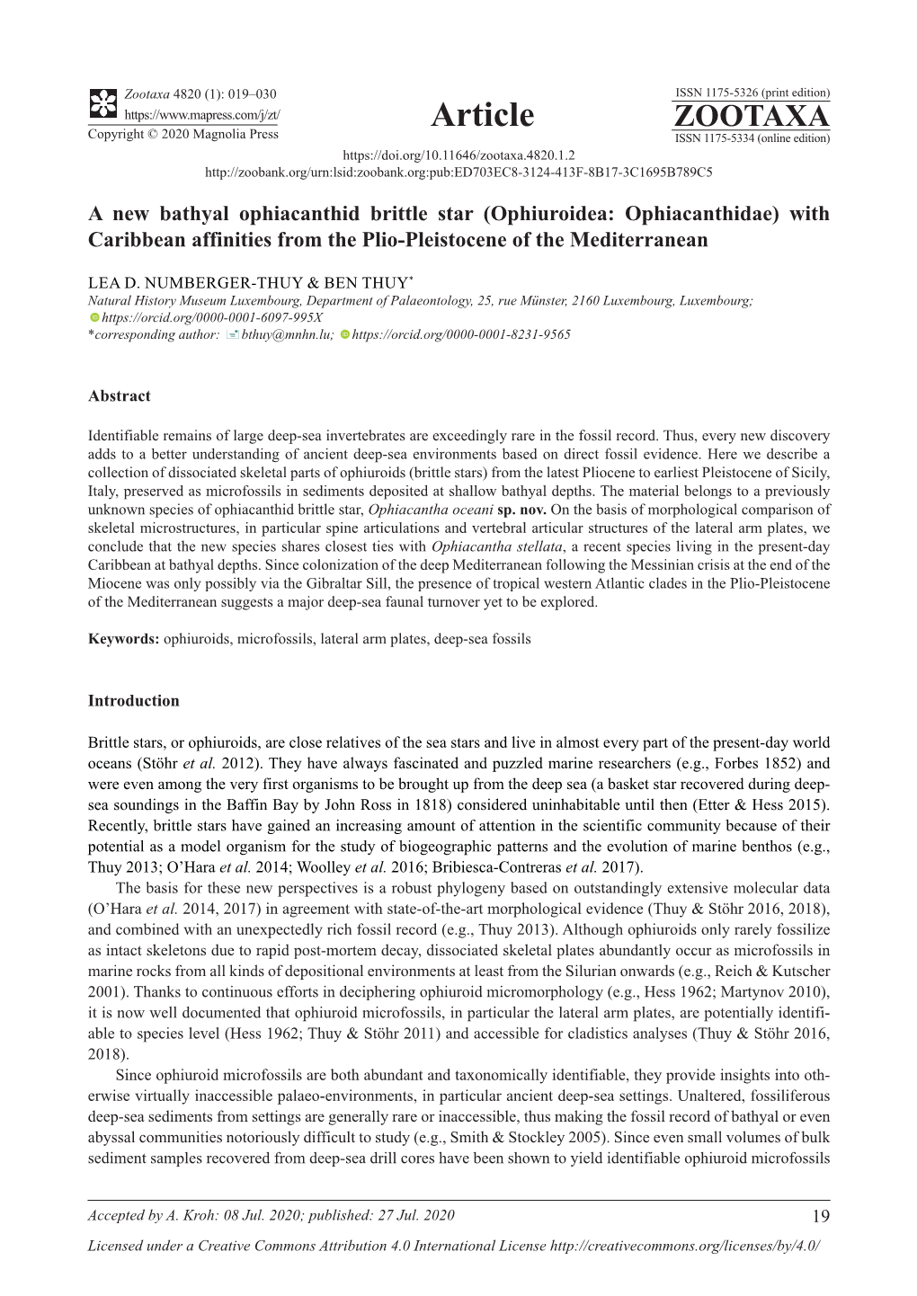 A New Bathyal Ophiacanthid Brittle Star (Ophiuroidea: Ophiacanthidae) with Caribbean Affinities from the Plio-Pleistocene of the Mediterranean