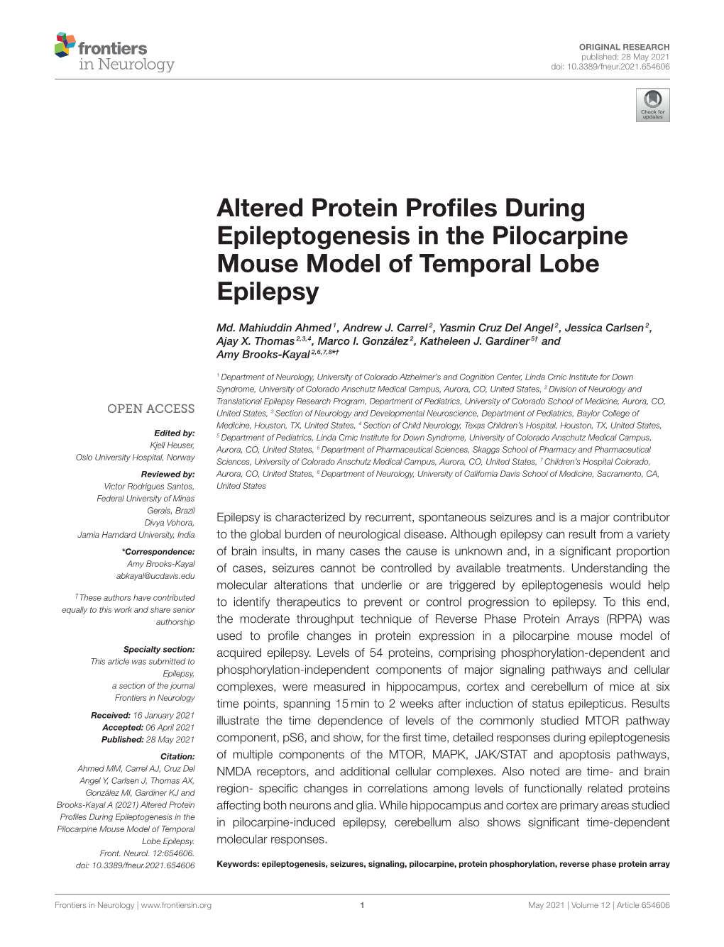 Altered Protein Profiles During Epileptogenesis in the Pilocarpine