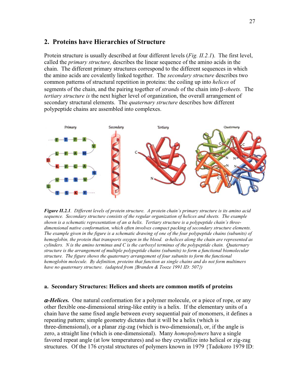 2. Proteins Have Hierarchies of Structure