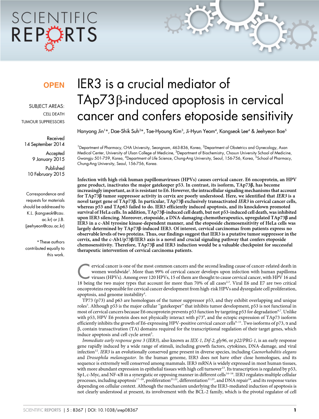 IER3 Is a Crucial Mediator of Tap73b-Induced Apoptosis In