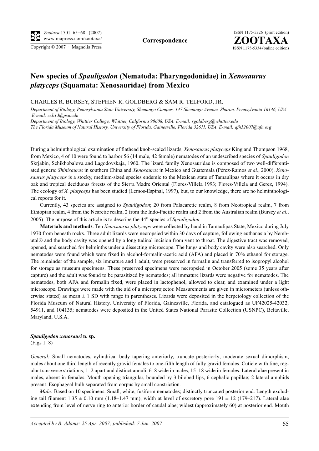 Zootaxa,New Species of Spauligodon (Nematoda: Pharyngodonidae) In