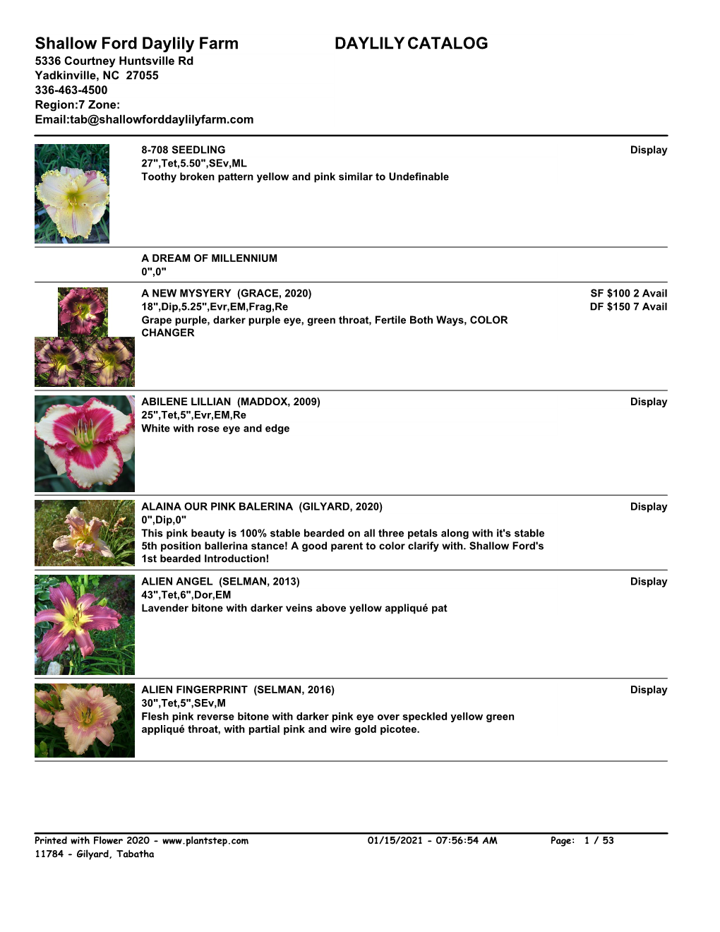 Flower 2020 Daylily Catalog