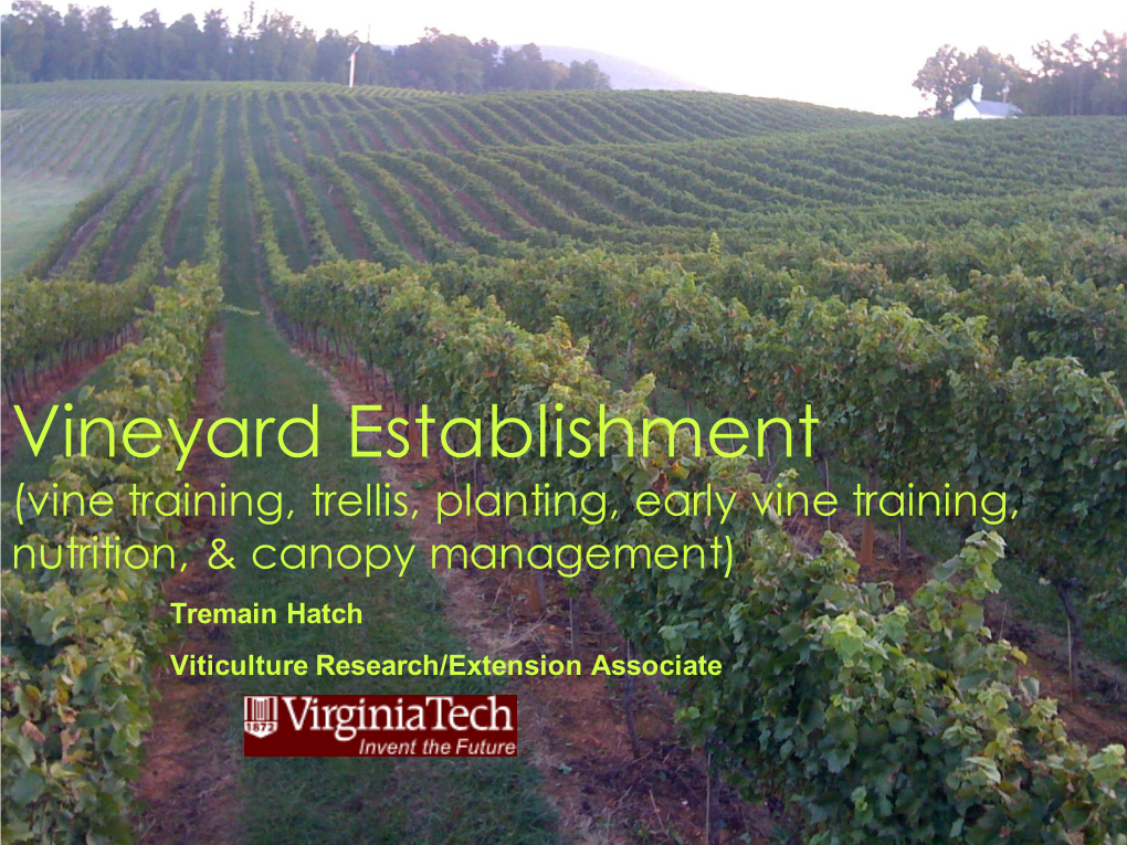 Vineyard Labor Requirements