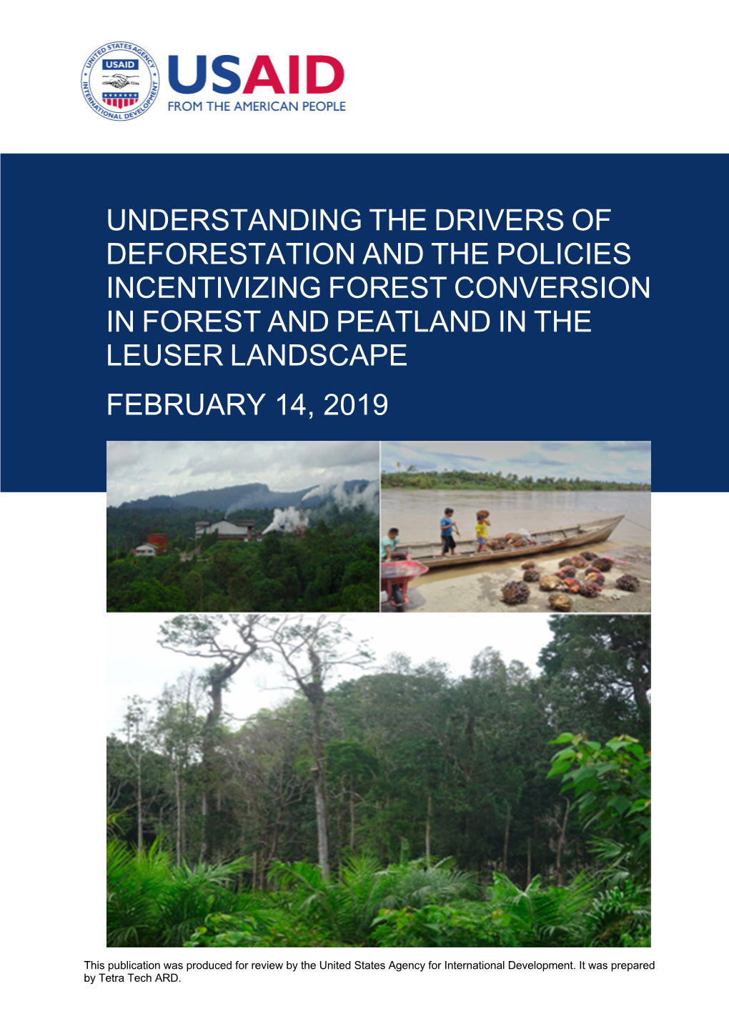 Understanding the Drivers of Deforestation and the Policies Incentivizing Forest Conversion in Forest and Peatland in The