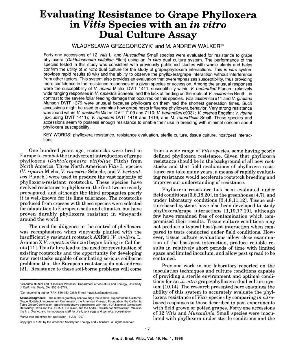 Evaluating Resistance to Grape Phylloxera in Vitis Species with an in Vitro Dual Culture Assay WLADYSLAWA GRZEGORCZYK ~ and M