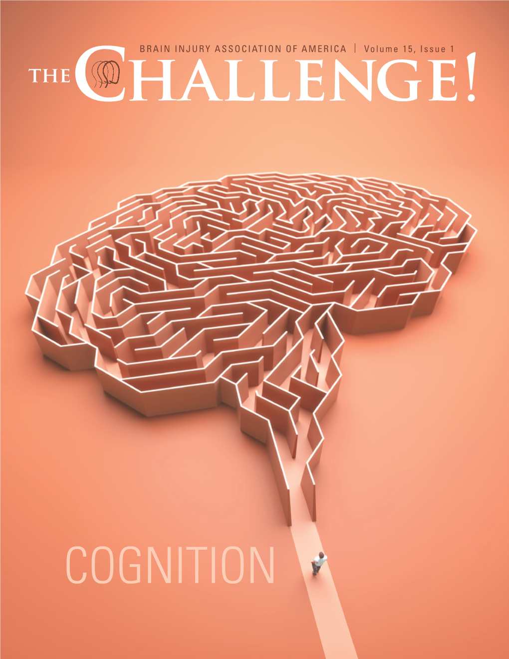 Cognition Table of Contents