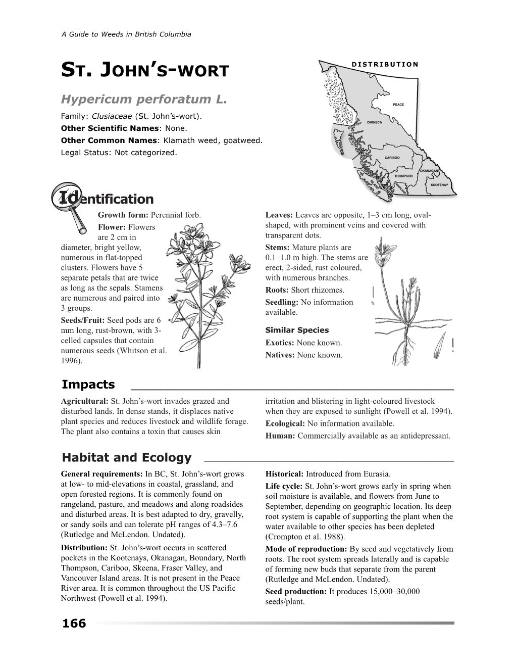 St. John's-Wort