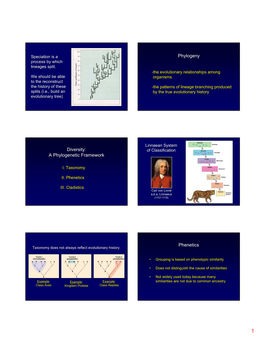 Phylogeny Diversity: a Phylogenetic Framework Phenetics