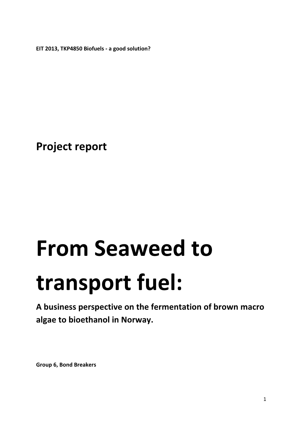 From Seaweed to Transport Fuel: a Business Perspective on the Fermentation of Brown Macro Algae to Bioethanol in Norway