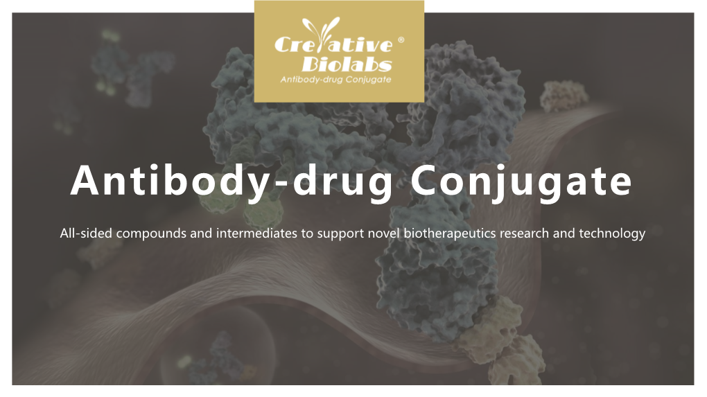 ADC (Antibody-Drug Conjugates