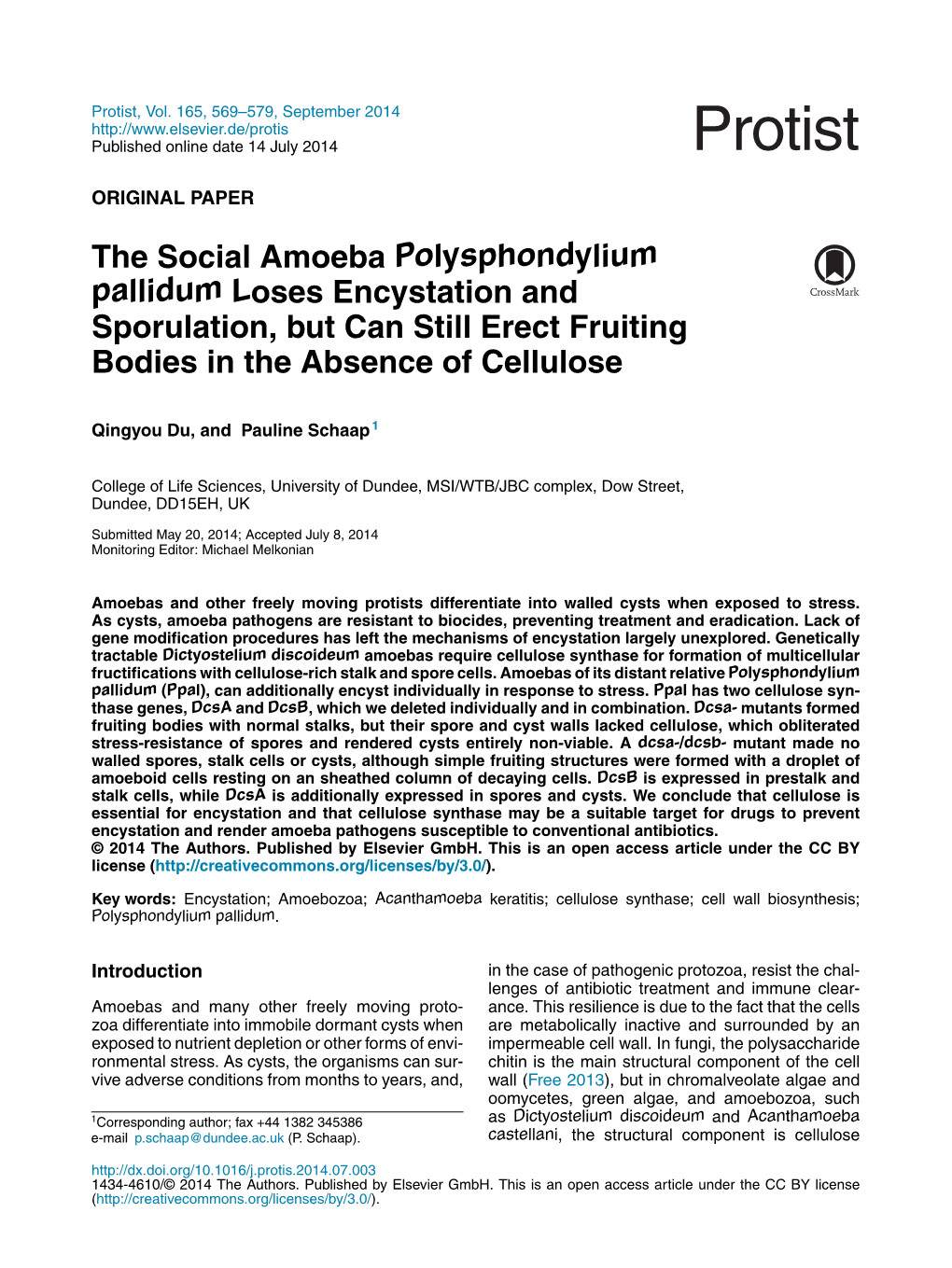 The Social Amoeba Polysphondylium Pallidum Loses Encystation And