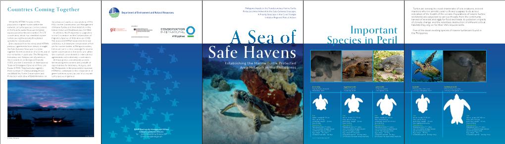 Safehaven Marineturtle Network Brochure.Pdf