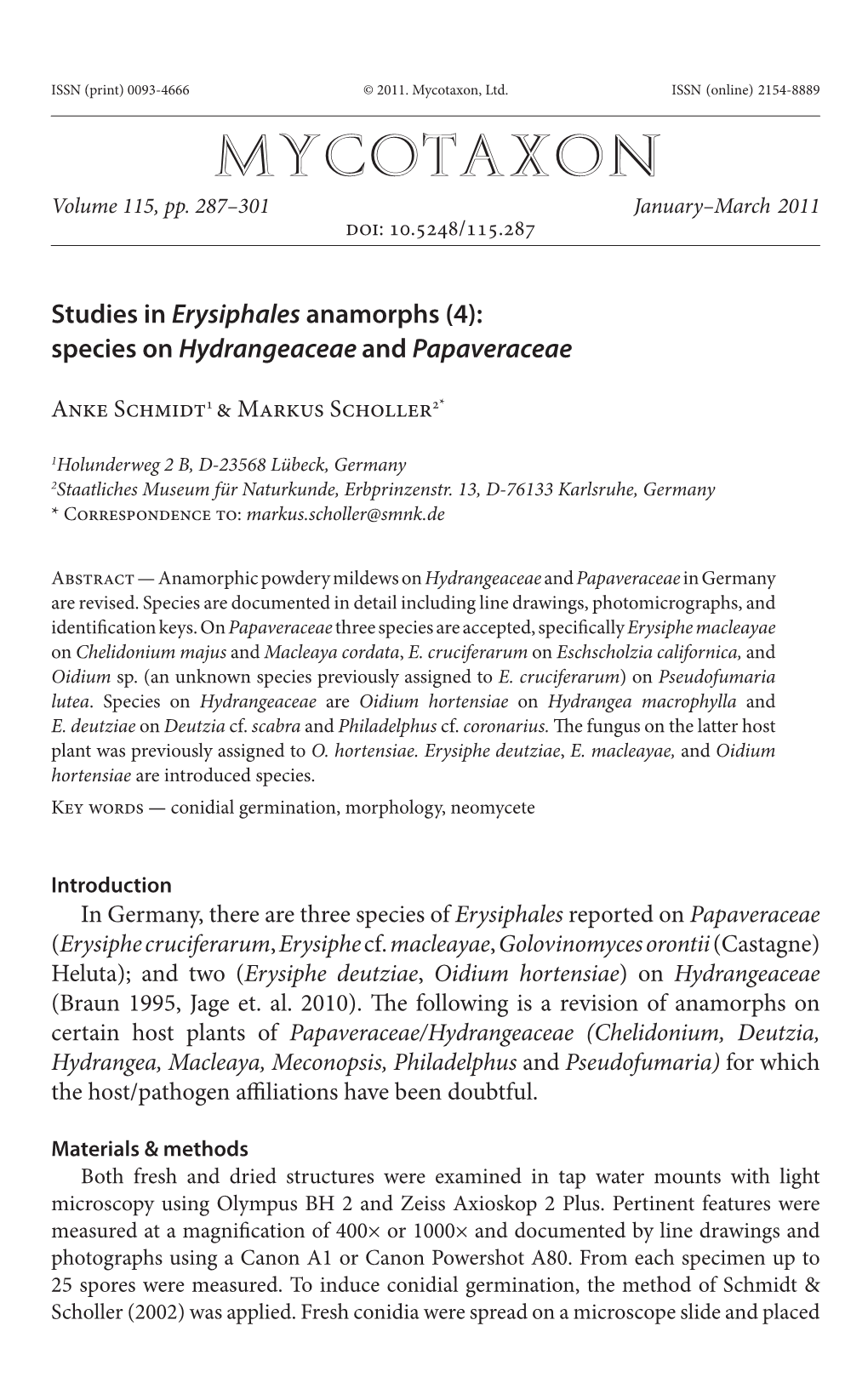 Studies in &lt;I&gt;Erysiphales&lt;/I&gt; Anamorphs (4): Species on &lt;I&gt;Hydrangeaceae&lt;/I&gt; and &lt;I&gt;Papaveraceae&L