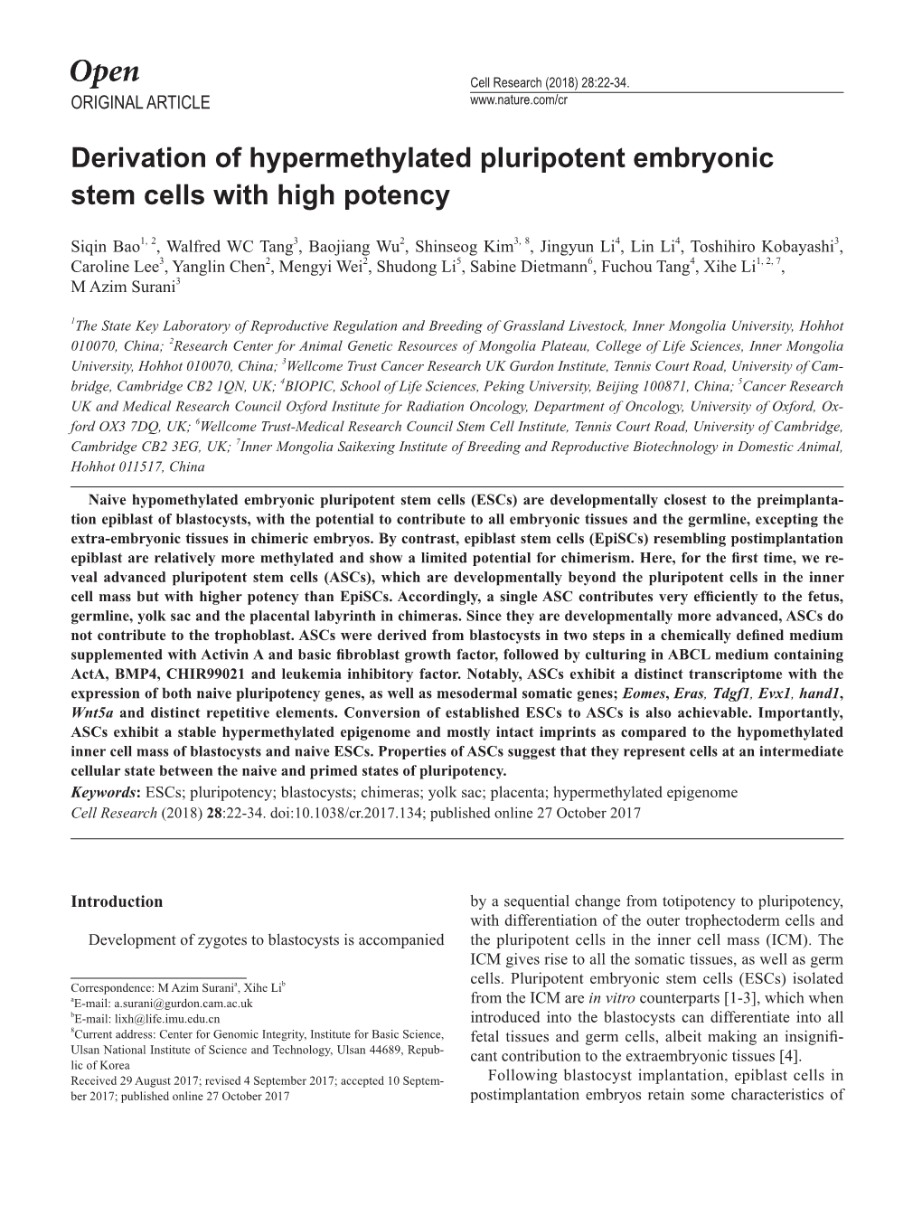 Derivation of Hypermethylated Pluripotent Embryonic Stem Cells with High Potency