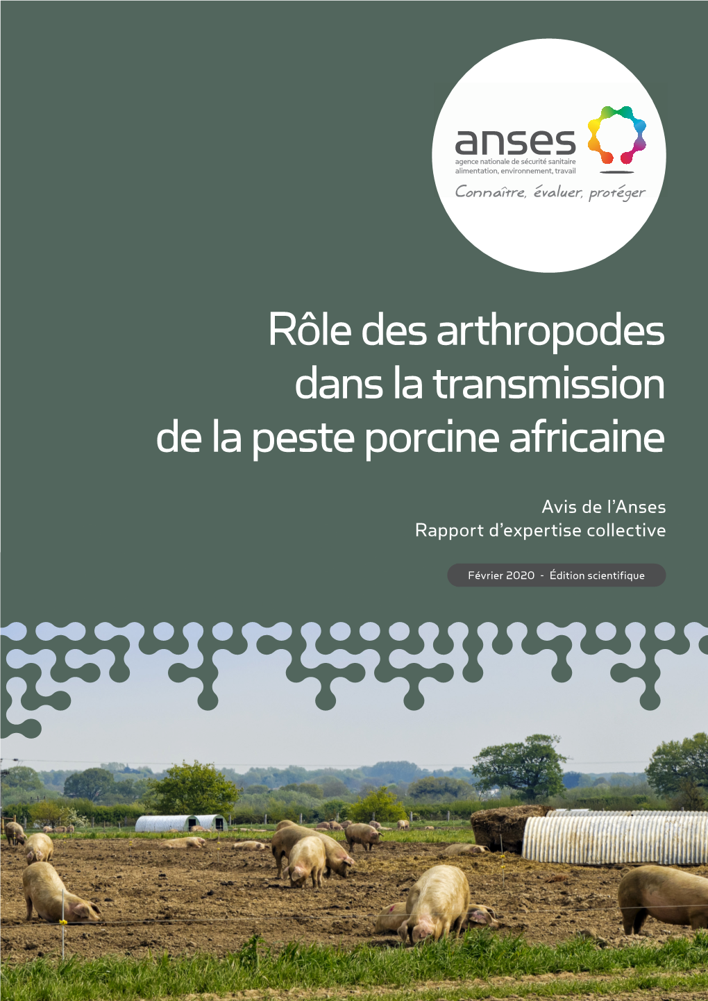 AVIS Et RAPPORT De L'anses Relatif Au Rôle Potentiel Des Arthropodes